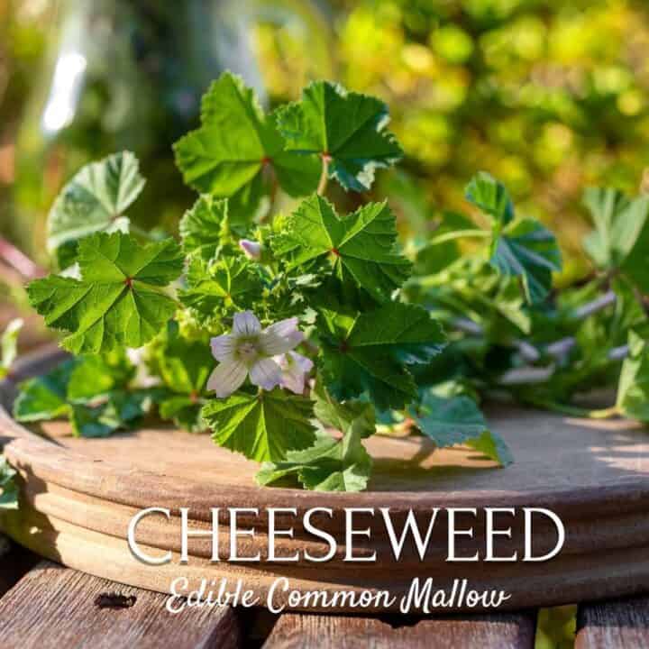 mallow on a a wooden tray