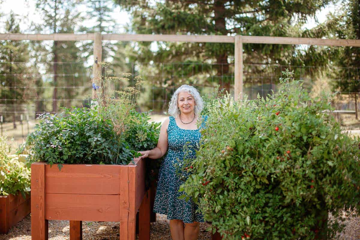 Montana Zone 4 garden with raised beds, herbs, and vegetables in summer