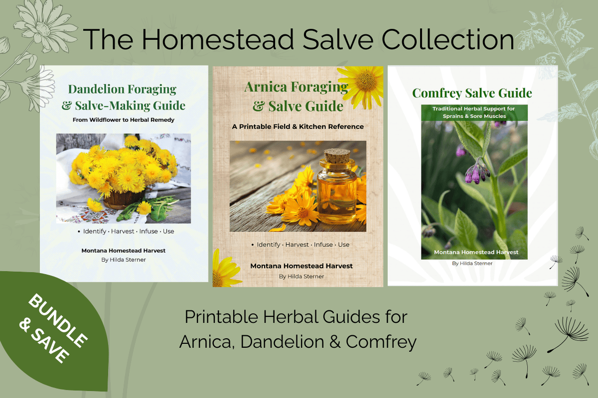 digital ebooks bundle