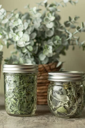 freeze dried herbs in jars with a plant behind them.