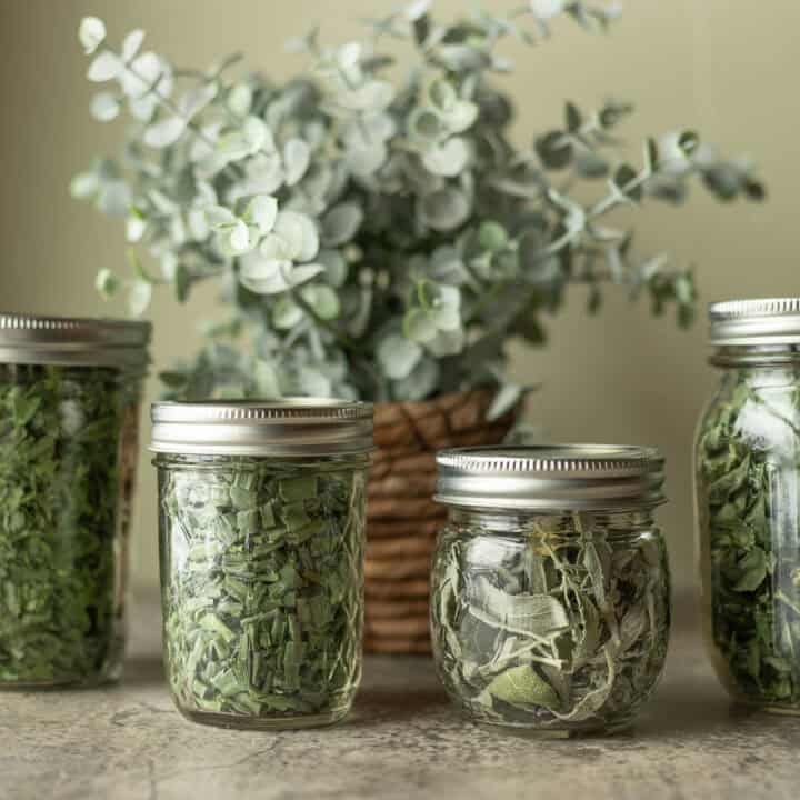 freeze dried herbs in jars with a plant behind them.