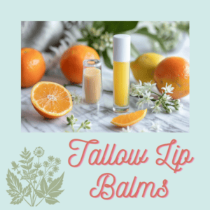 Tallow Lip Balm (chapstick)