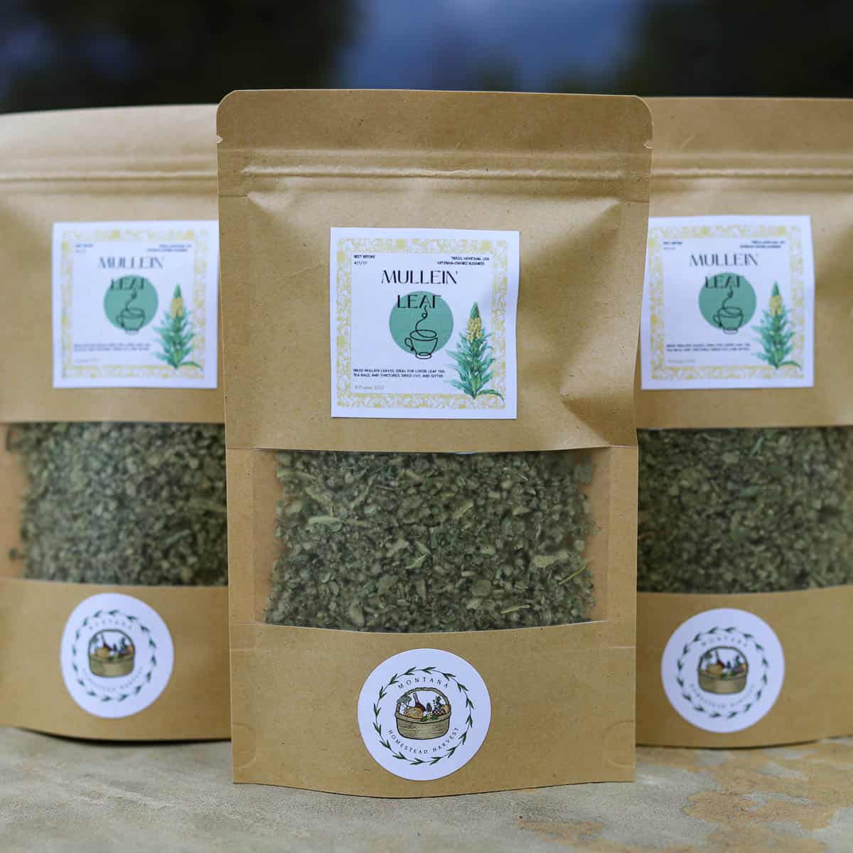 Mullein Leaf Tea 