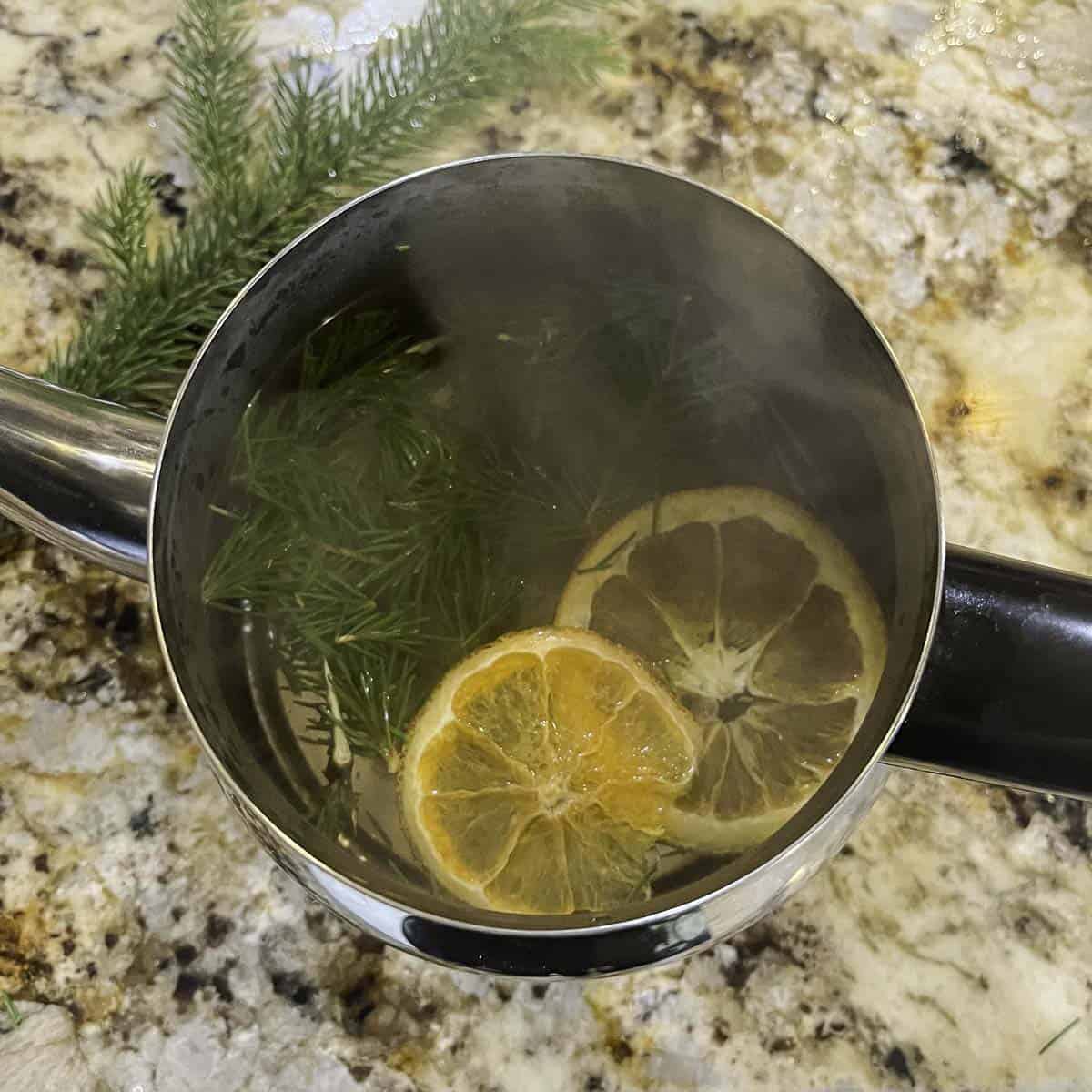 pine needle tea in a tea pot
