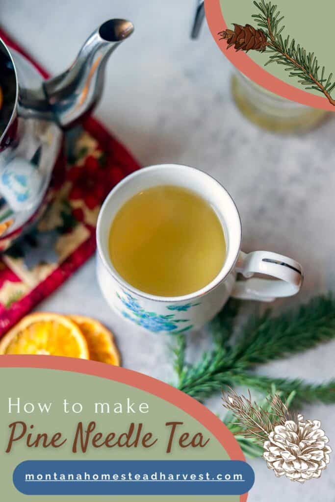 pine needle tea pin