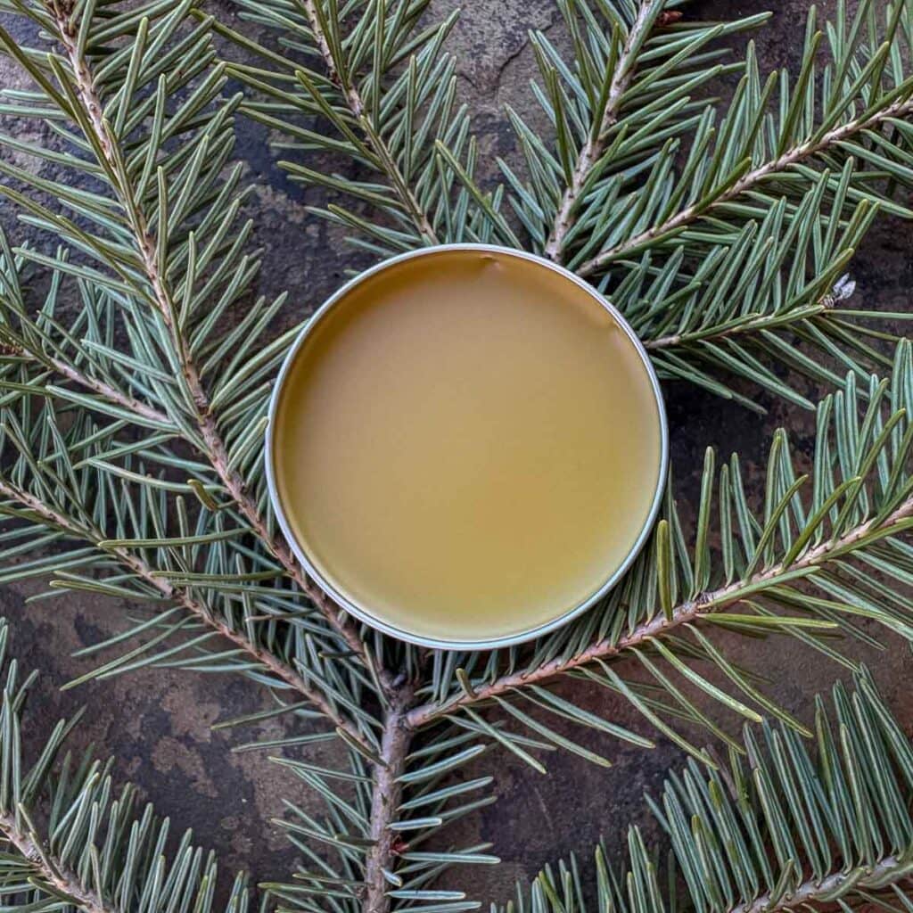 Pine Resin Salve – Forest-Crafted-Deeply-Healing