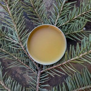 Pine Resin Salve – Forest-Crafted-Deeply-Healing