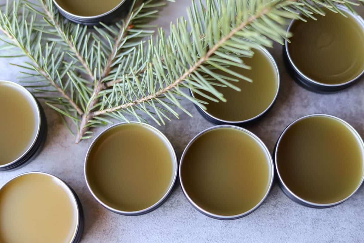 pine resin salve with a sprig of pine
