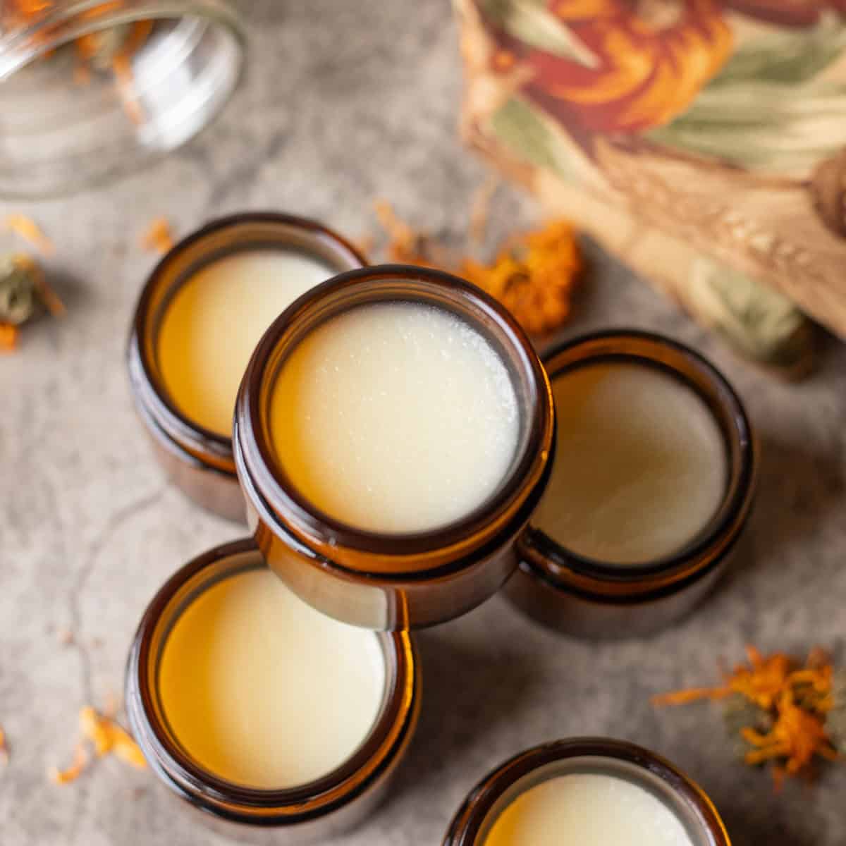 tallow balm in amber jars with dried calendula around it