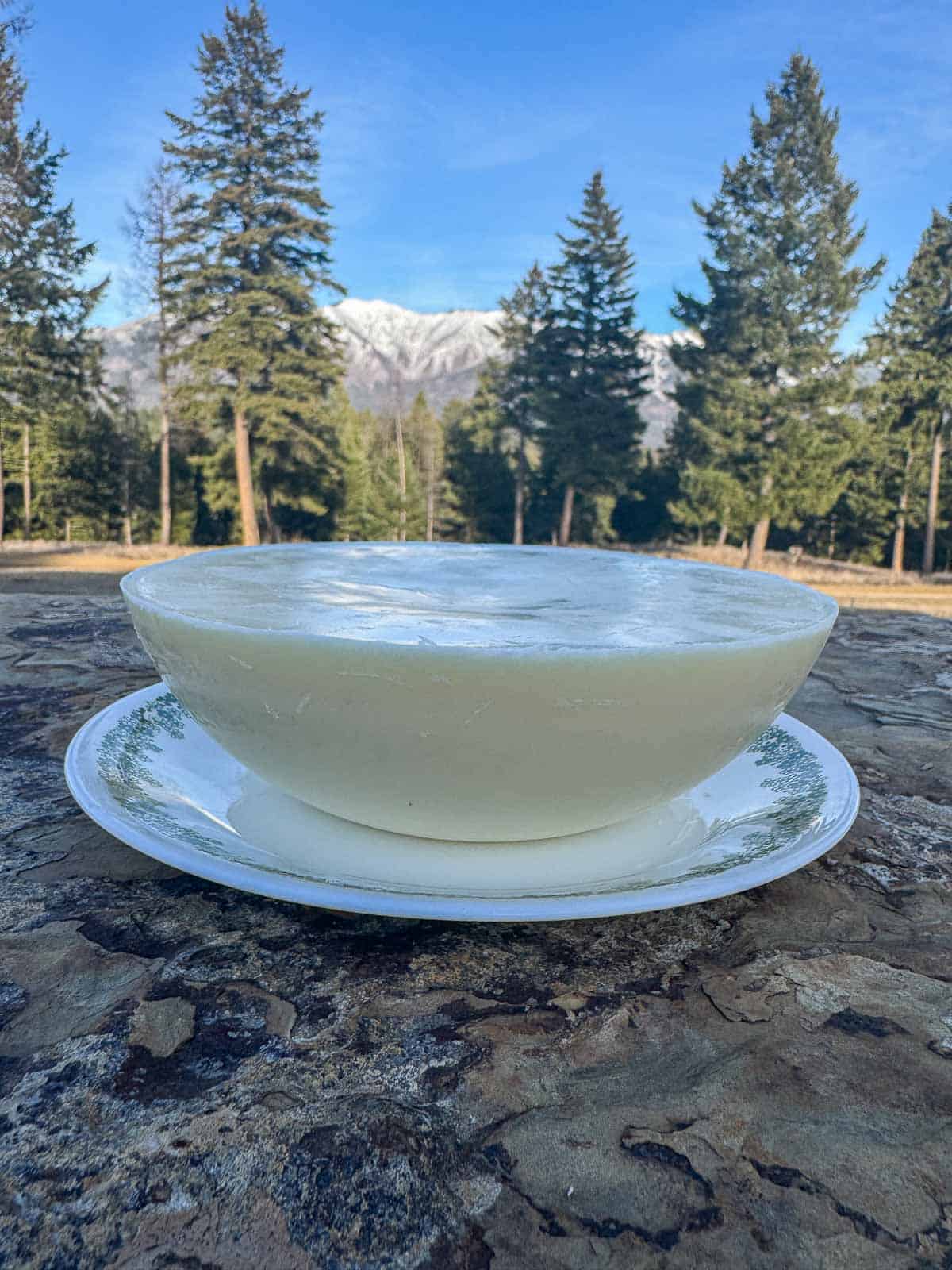 a puck of skincare grade tallow on a white plate set outside with snowy mountains and pine trees in the background