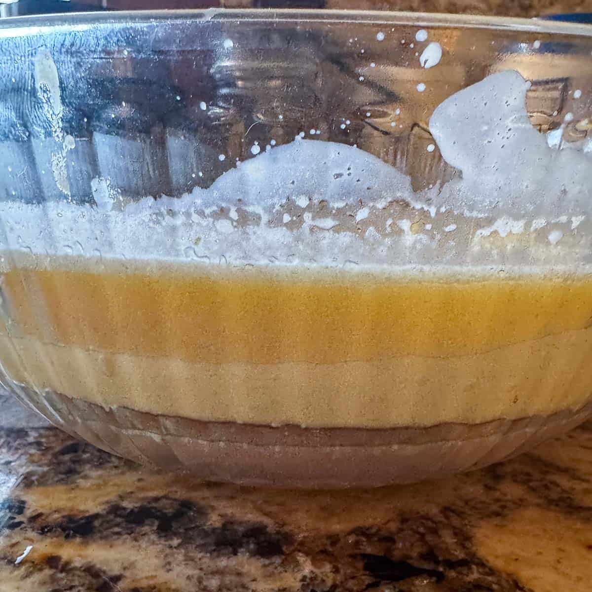 hardened tallow in a bowl with impurities below it
