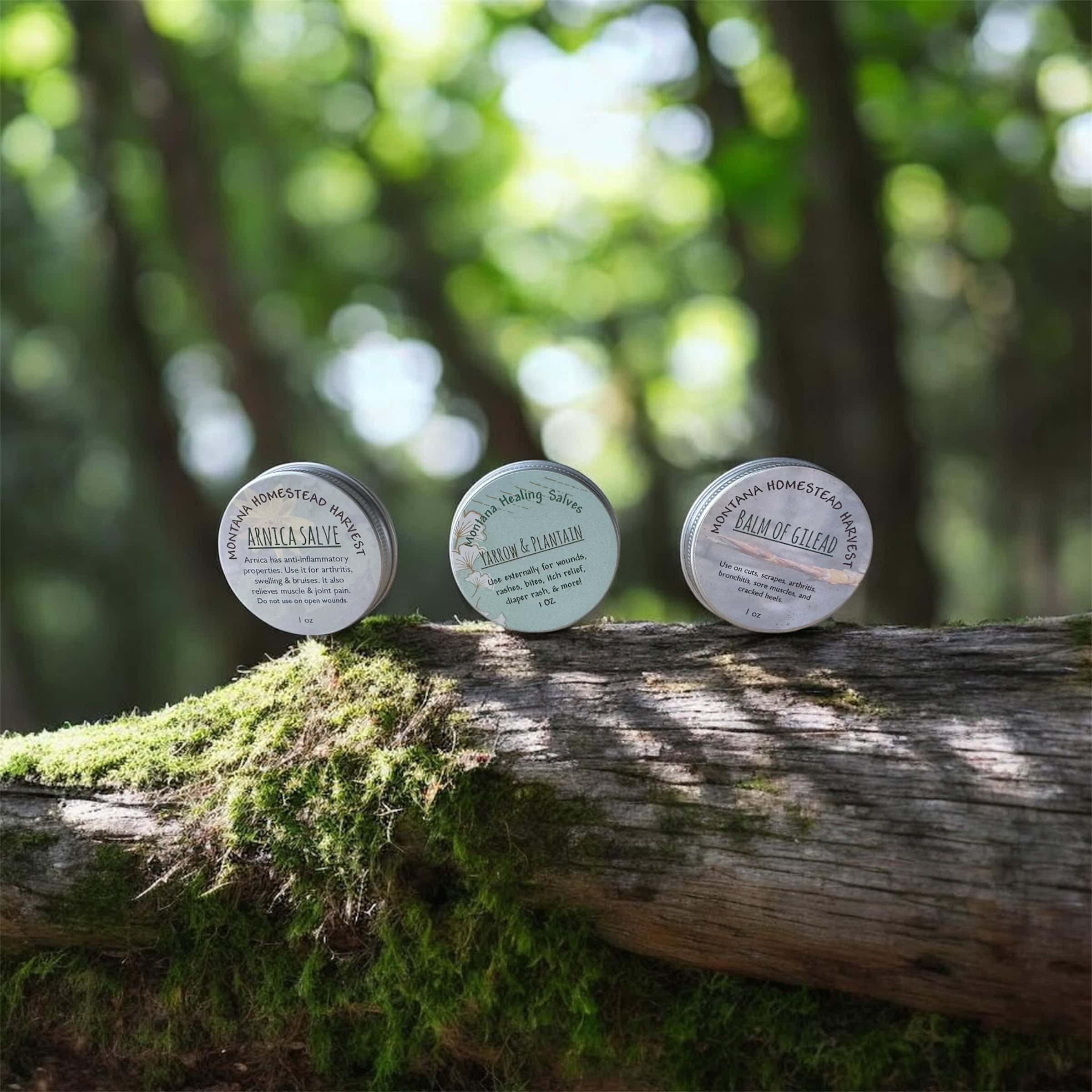 Homestead Healing Salve Trio
