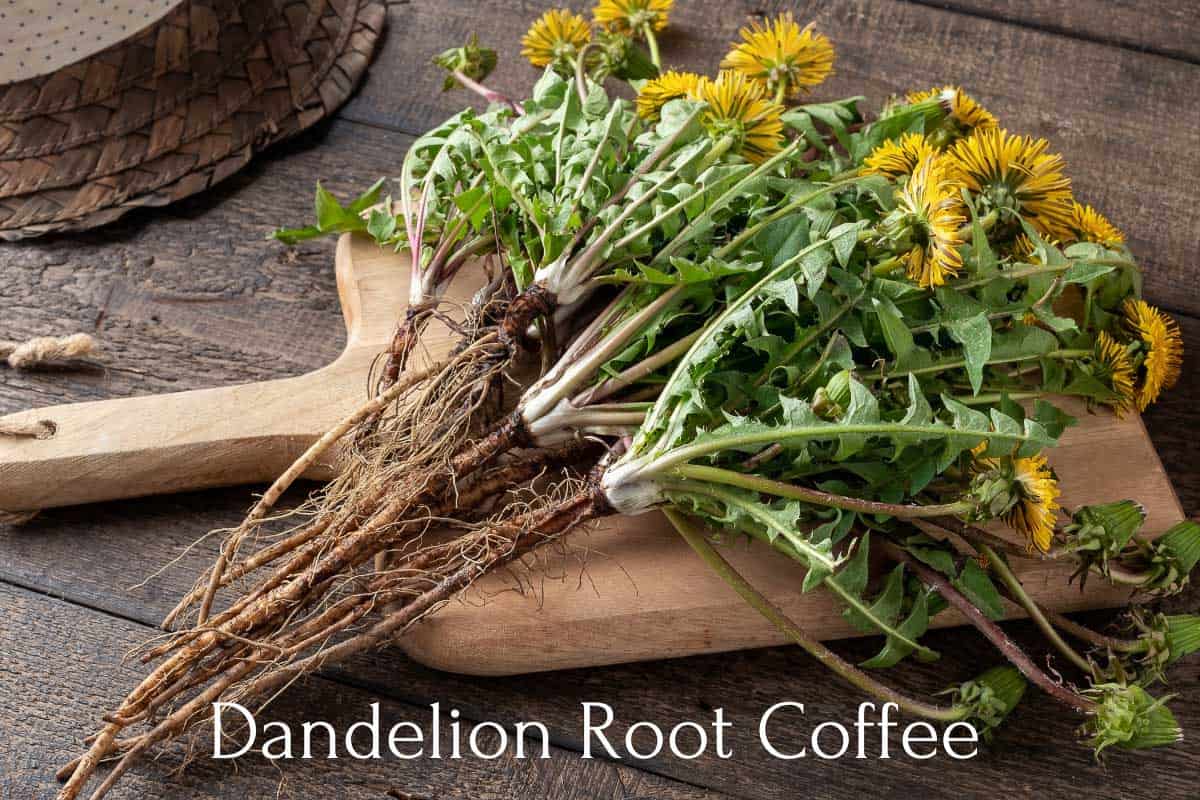 dandelions with roots on a cutting board