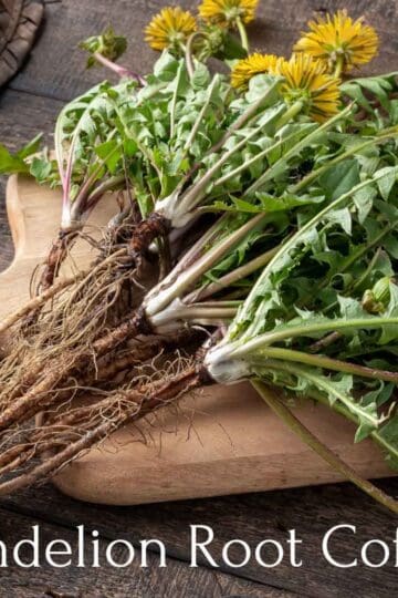 dandelions with roots on a cutting board