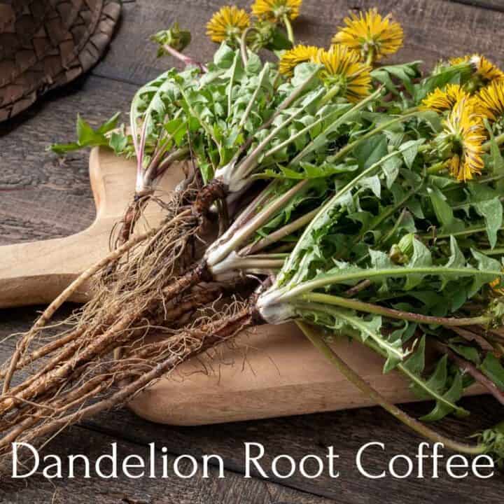 dandelions with roots on a cutting board