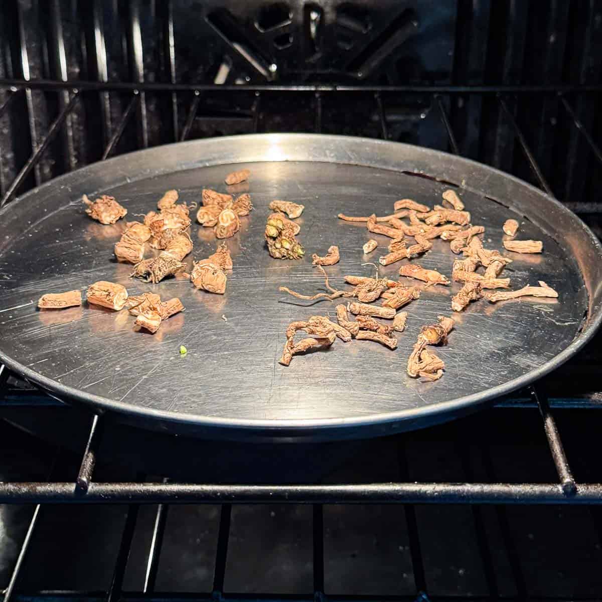 roasted dandelion root in the oven