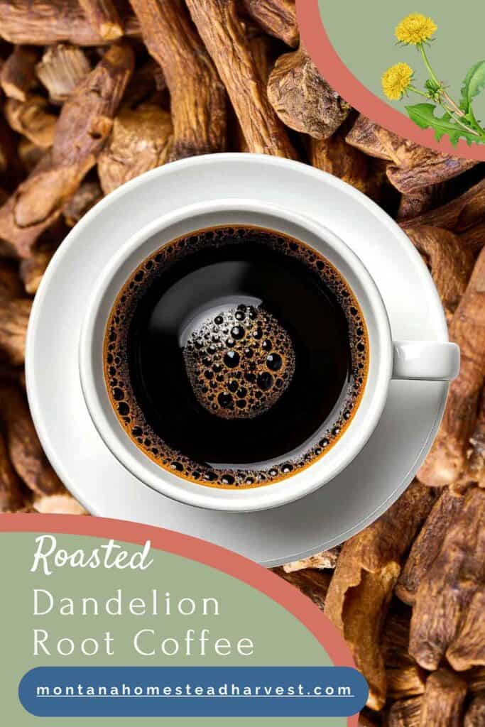 dandelion root coffee pin