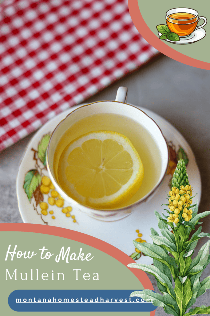 Mullein Tea Pin