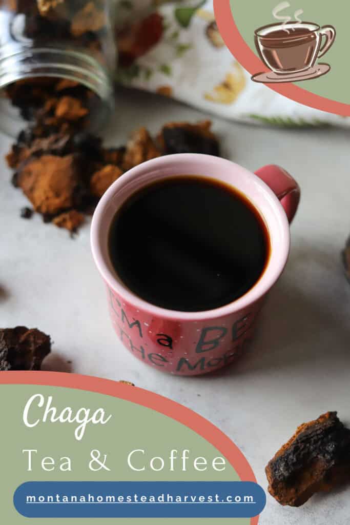 chaga tea pin