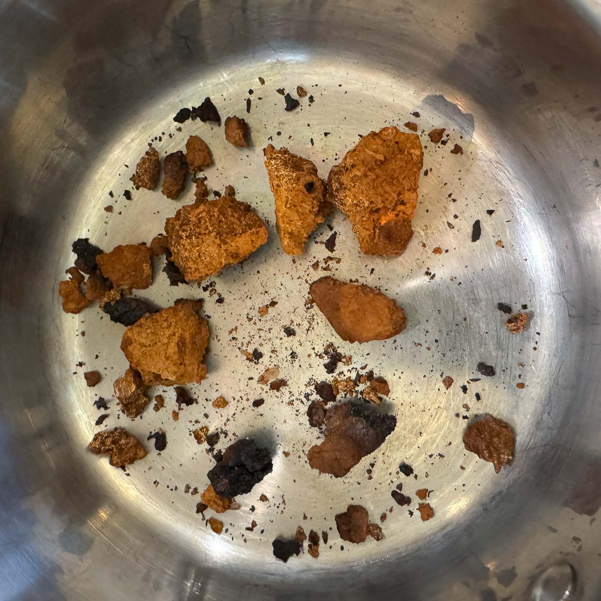 chunks of chaga in a small pot