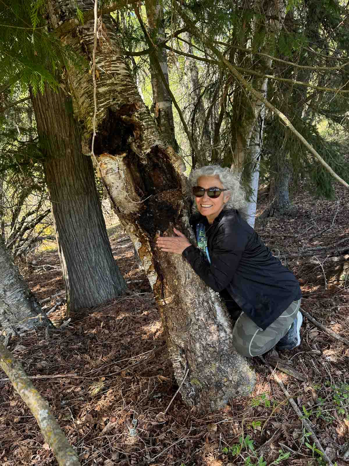 lady hugging tree with chaga