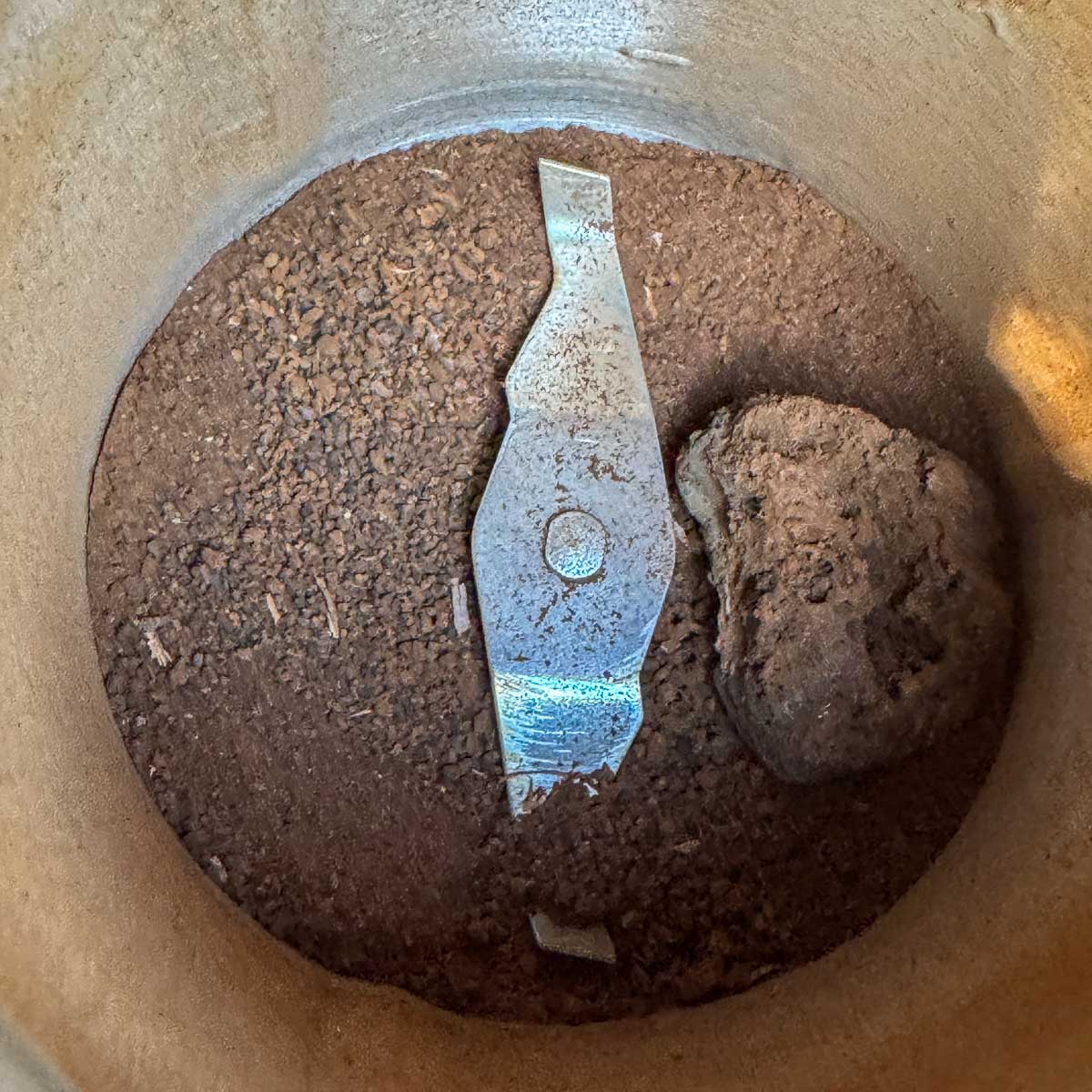 ground chaga in a coffee grinderwith a chunk remaining