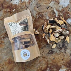 Wild-Harvested Red-Belted Polypore