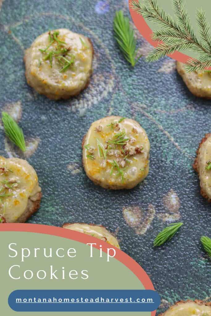 spruce tip cookies pin