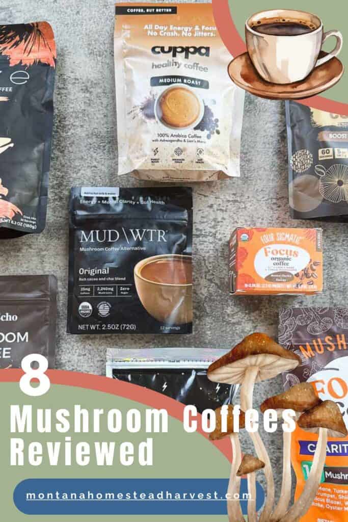 mushroom coffees