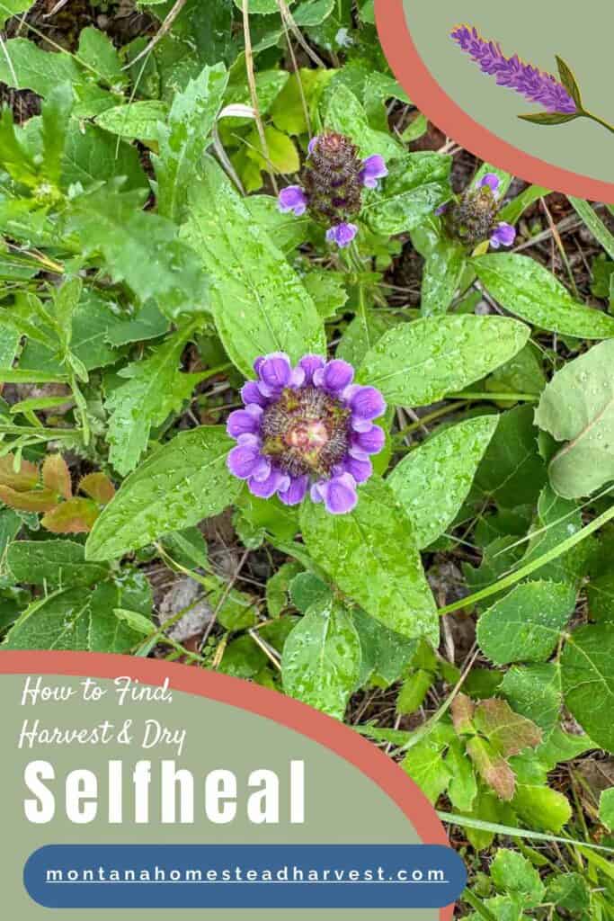 selfheal pin