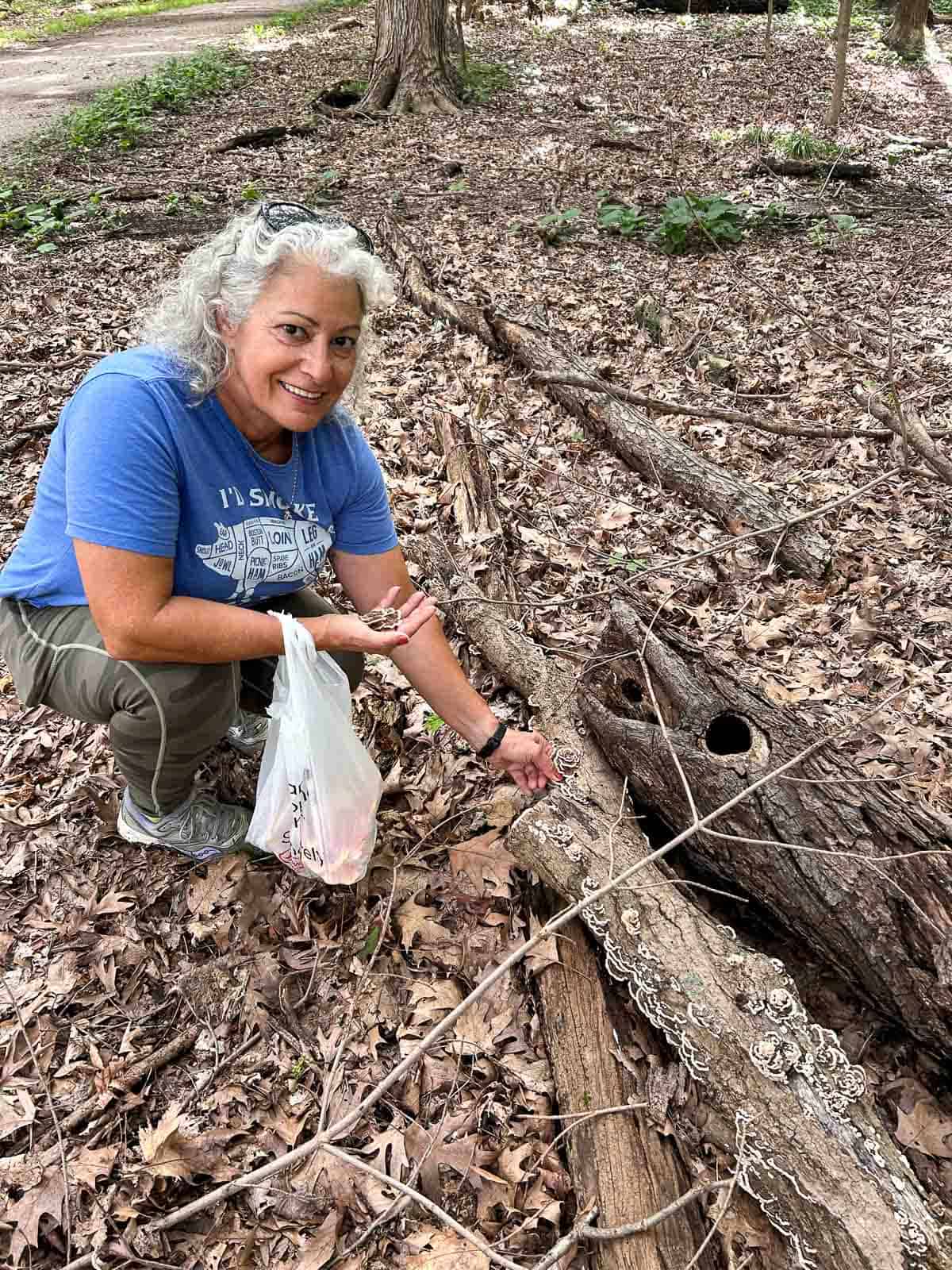 woman picking turkey tail mushrooms from a log