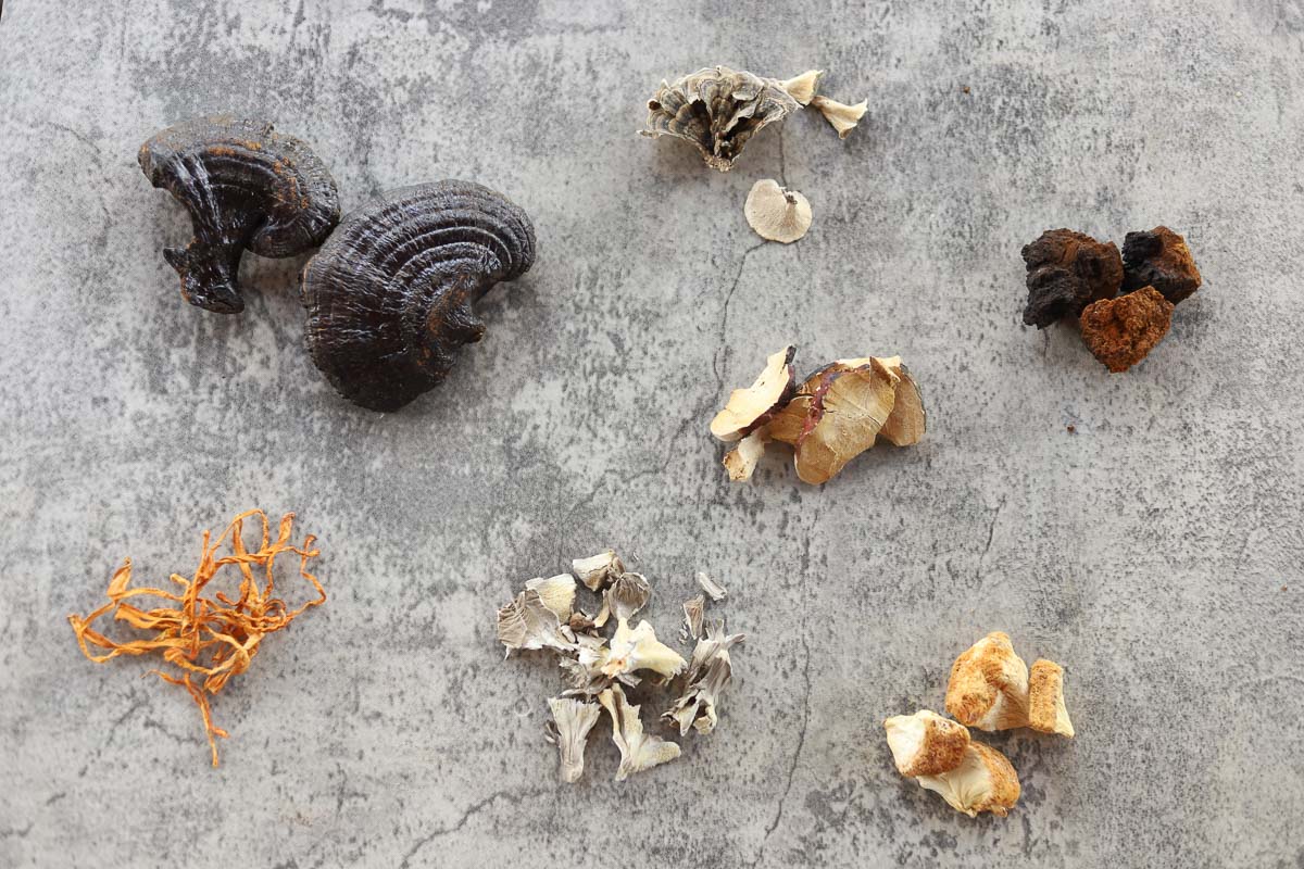 7 medicinal mushrooms including lions mane, turkey tail, and reishi.