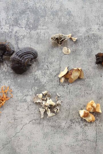 7 medicinal mushrooms including lions mane, turkey tail, and reishi.