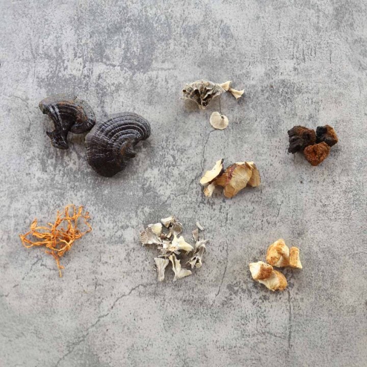 7 medicinal mushrooms including lions mane, turkey tail, and reishi.