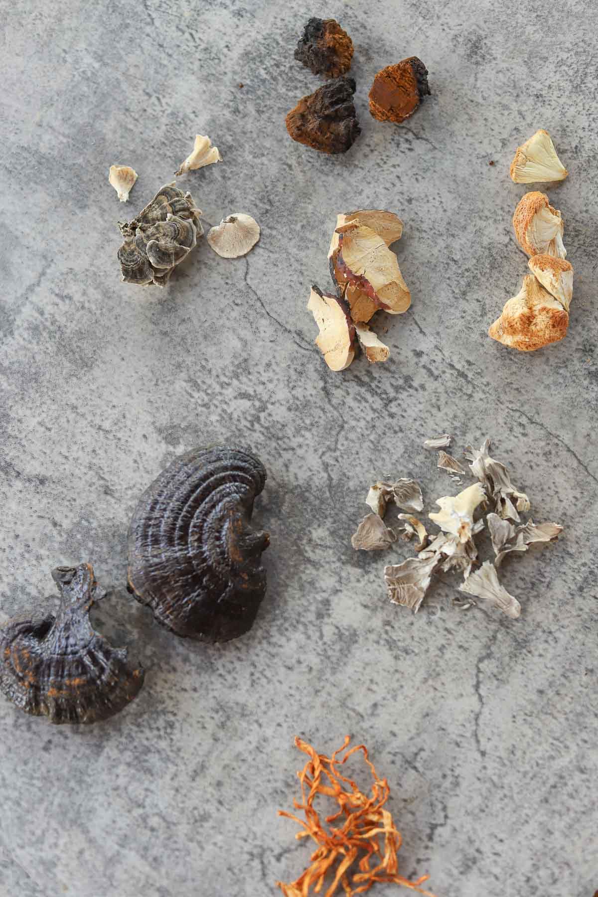 7 medicinal mushrooms including lions mane, turkey tail, chaga, and reishi.
