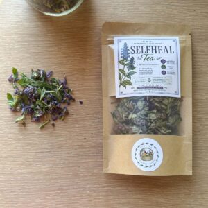 Selfheal Tea (Prunella vulgaris)