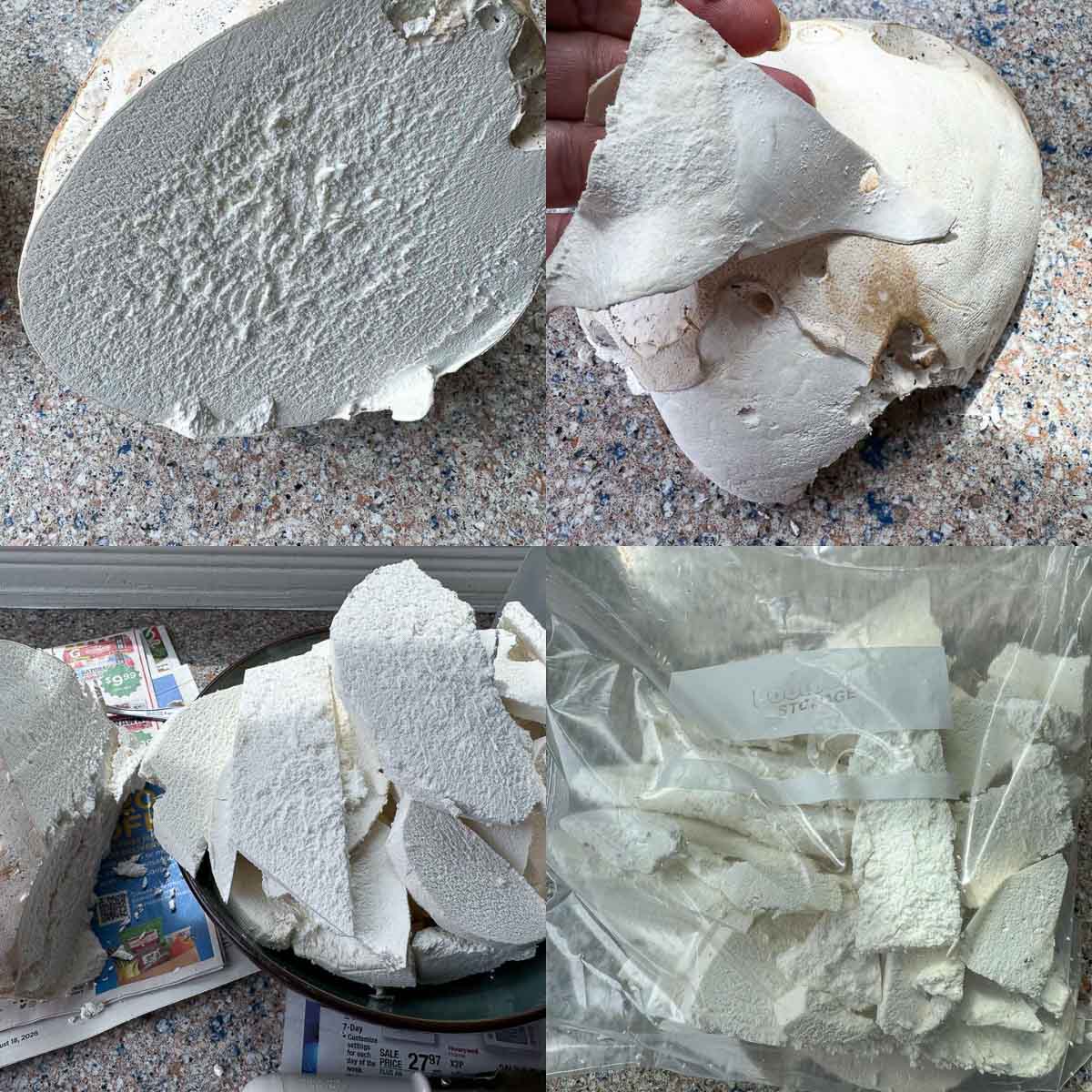 collage of giant puffball mushroom being prepared