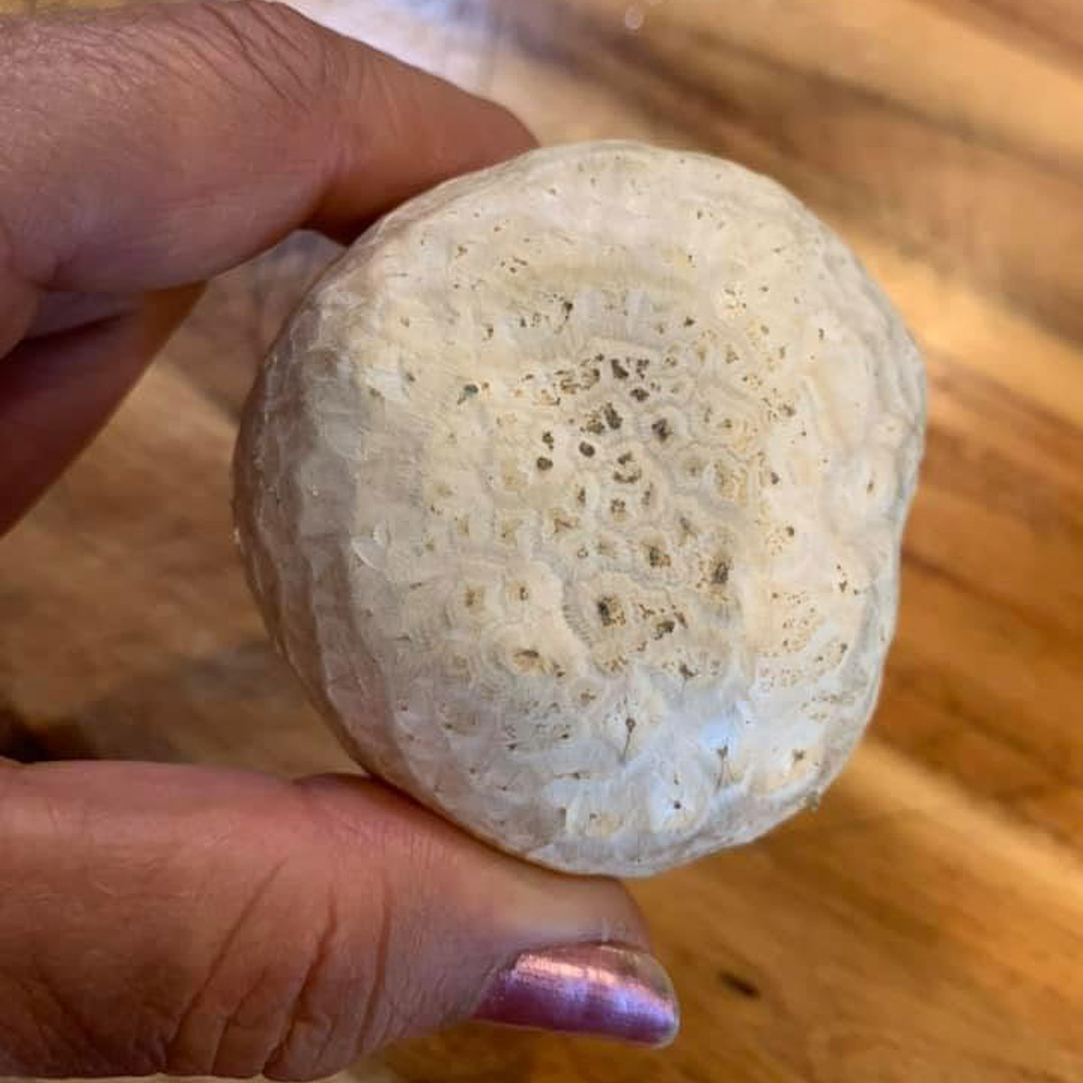 puffball with scaly surface