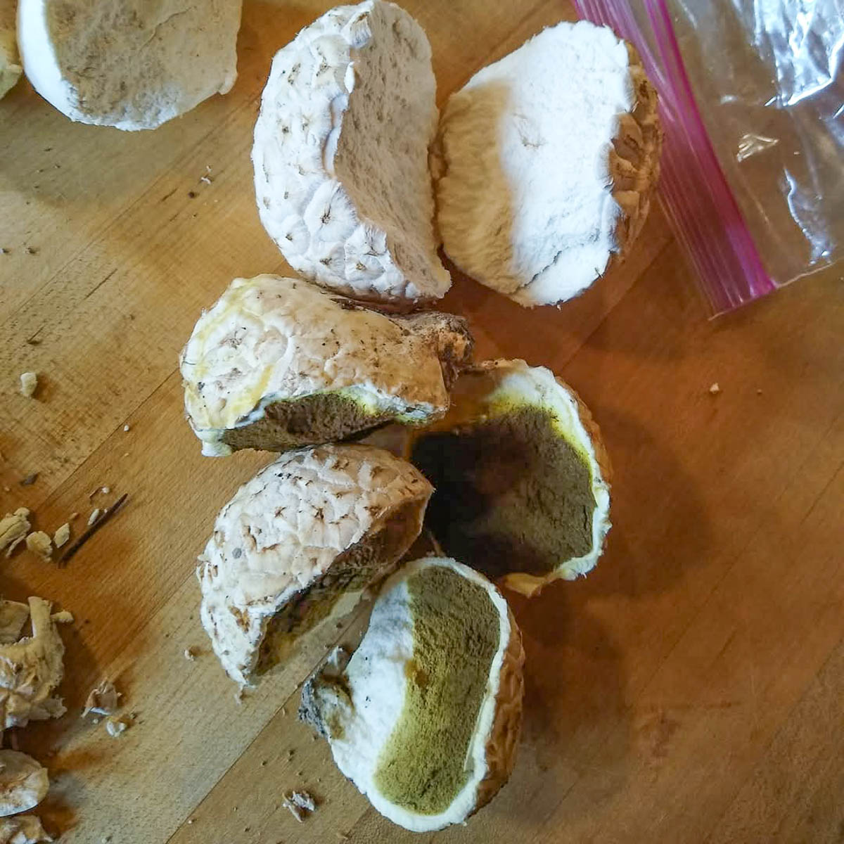 puffballs sliced in half, some edible and others past their prime, with dark spores