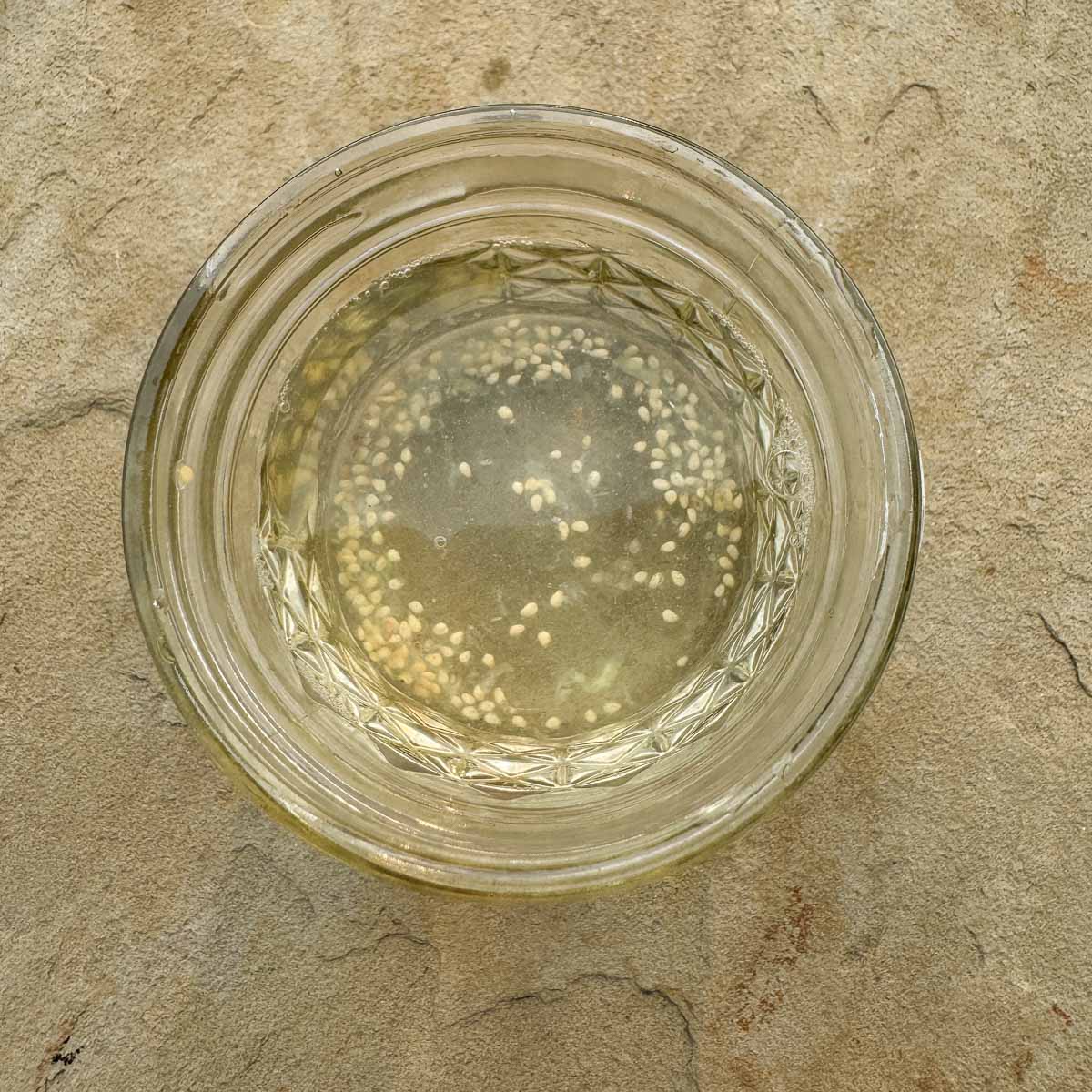 mason jar with water and small seeds