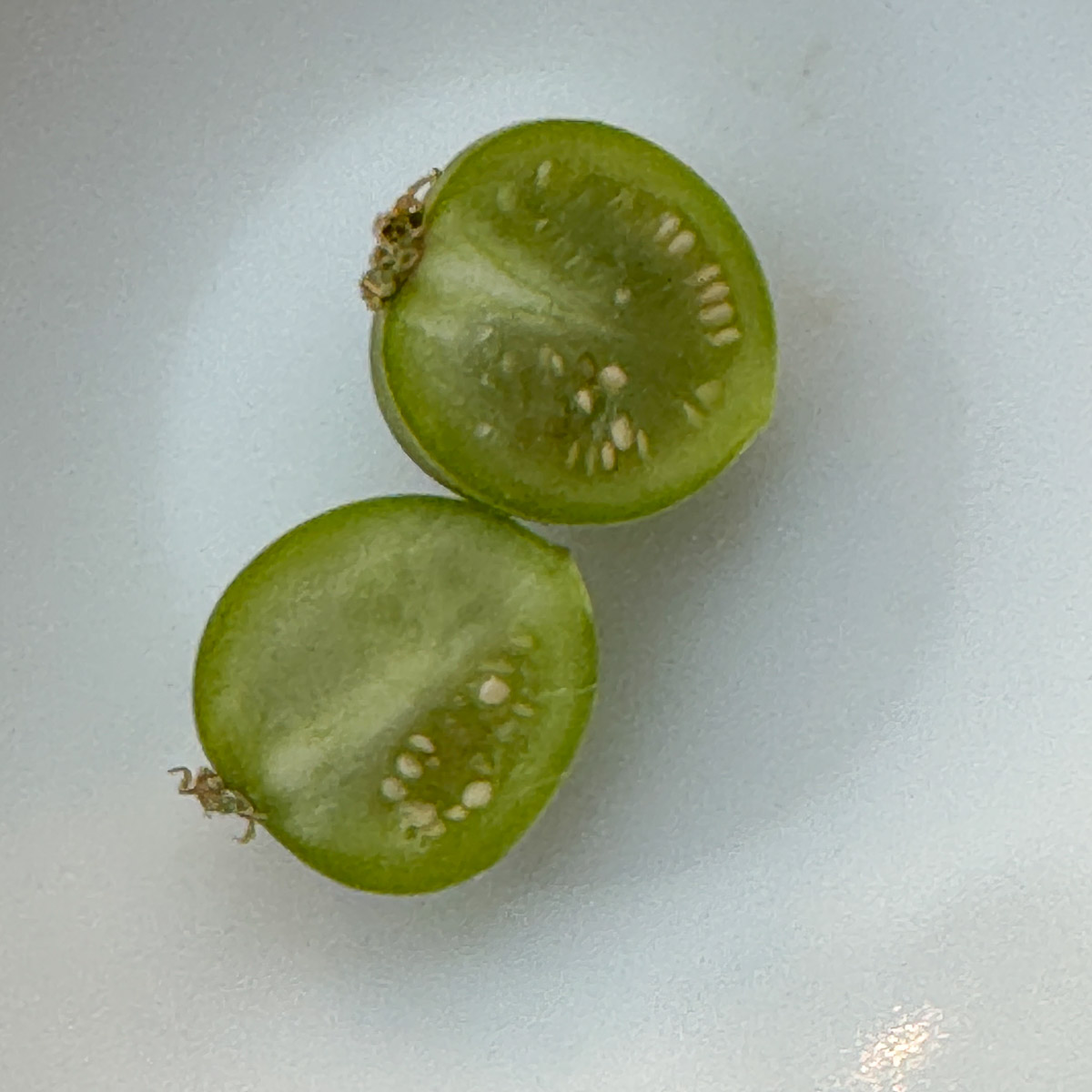 potato berry sliced in half