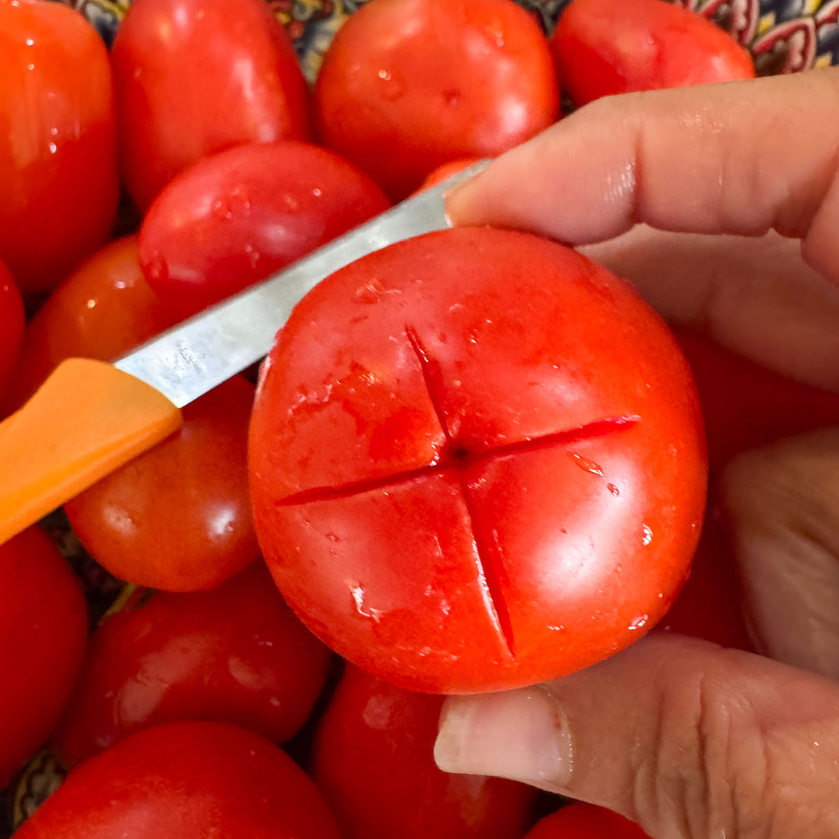 scored tomato with more tomatoes under it