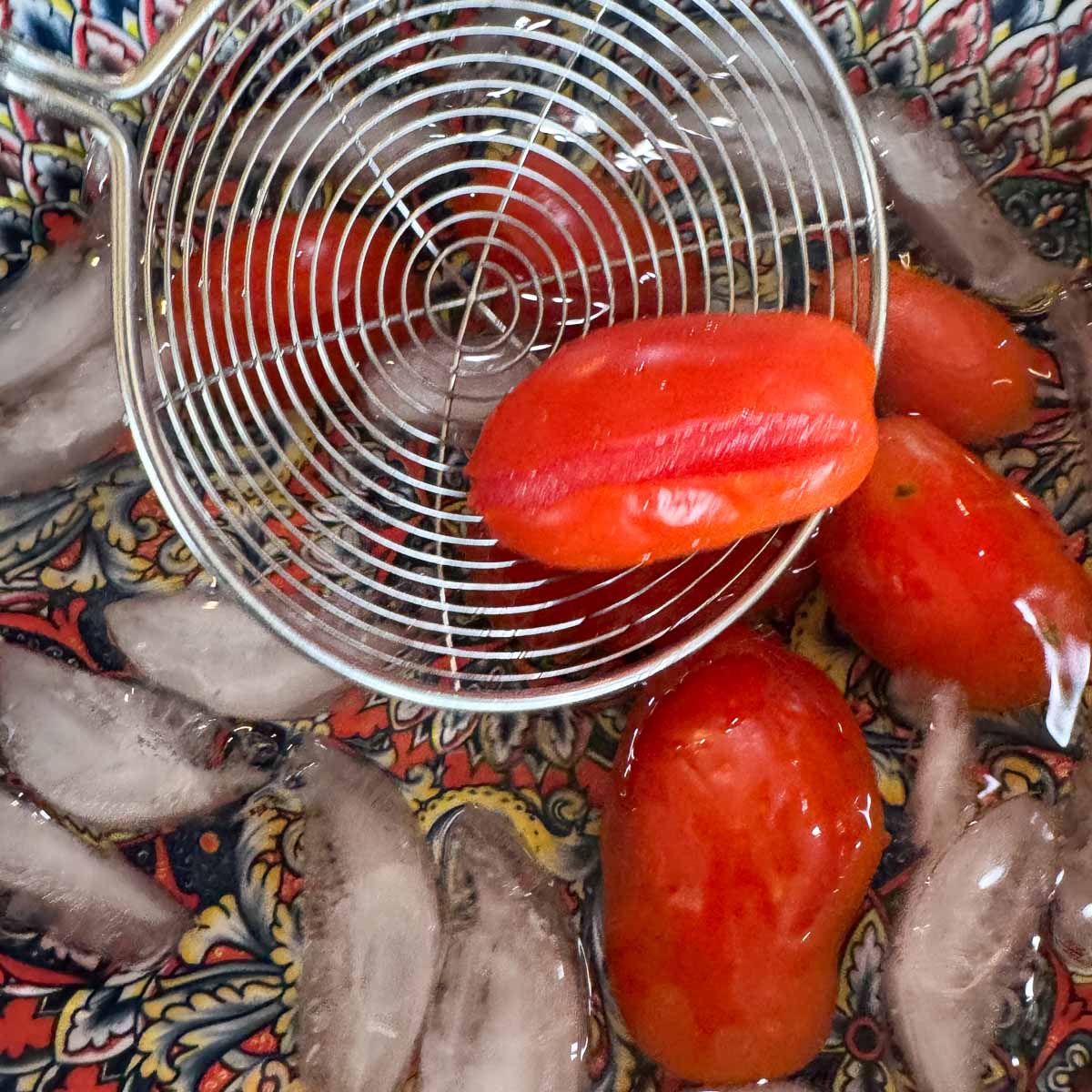 adding tomatoes to a bowl of ice water