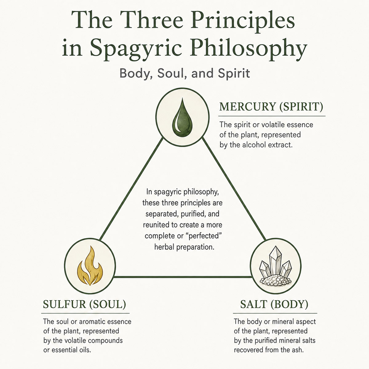 diagram showing the 3 principles in spagyric philosophy