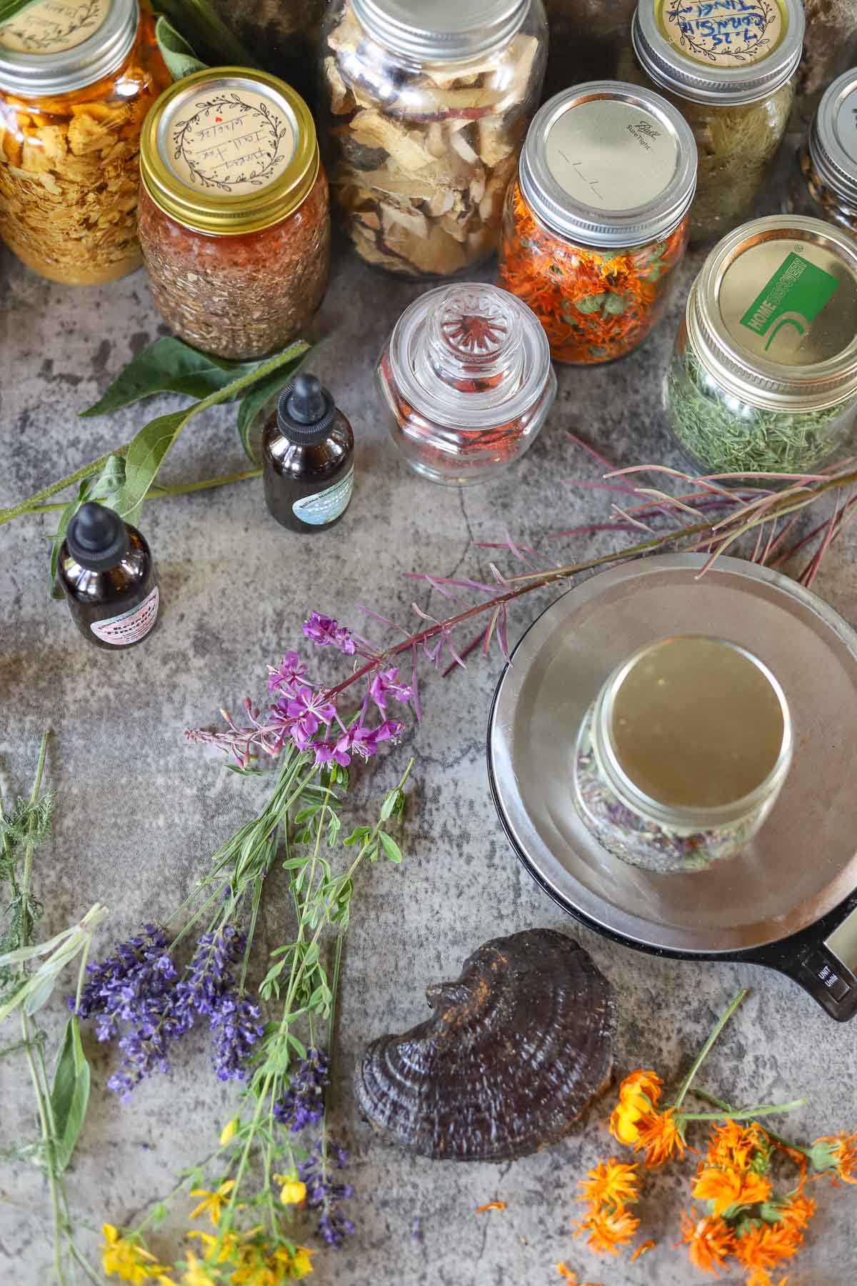 herbs, tinctures in jars, mushrooms, and a scale