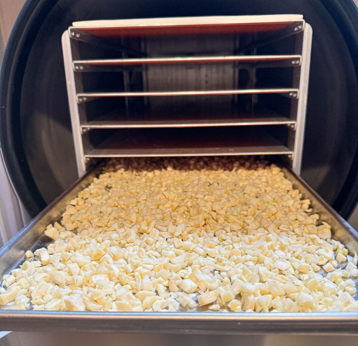 freeze dried garlic in a freeze dryer