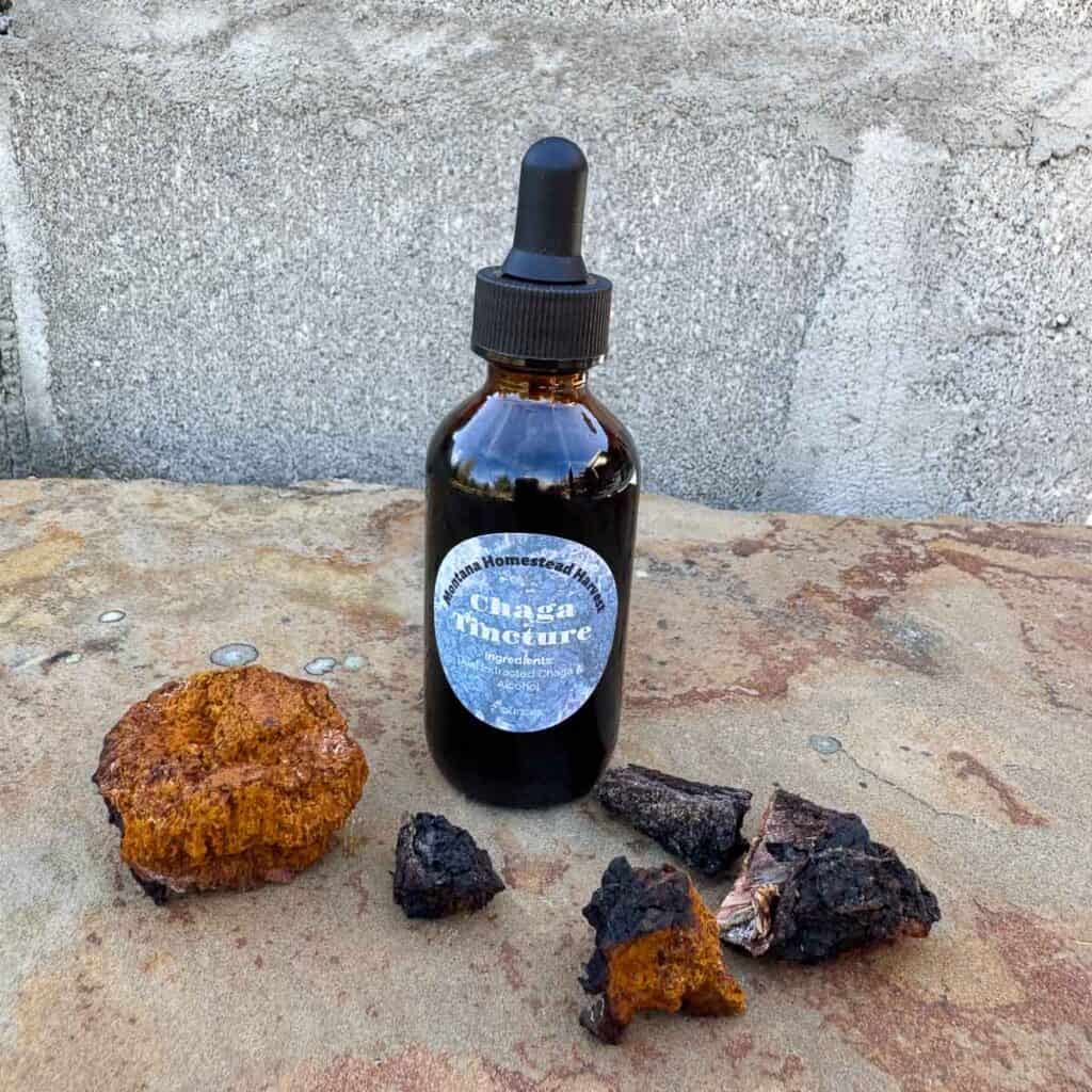 Chaga Mushroom Tincture