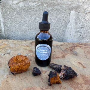 Chaga Mushroom Tincture