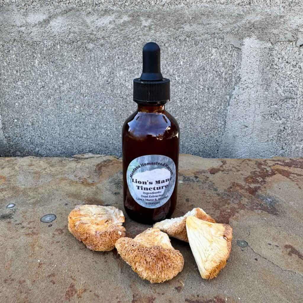 Lion's Mane Tincture