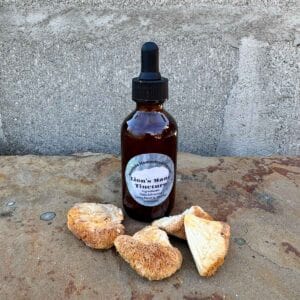 Lion's Mane Tincture